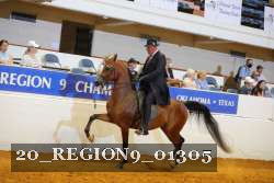 20_REGION9_01305 proof