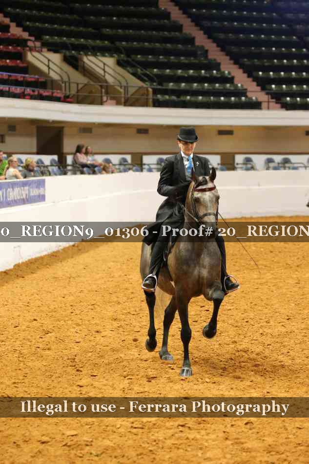 Proof 20_REGION9_01306
