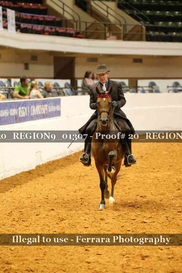 Proof 20_REGION9_01307