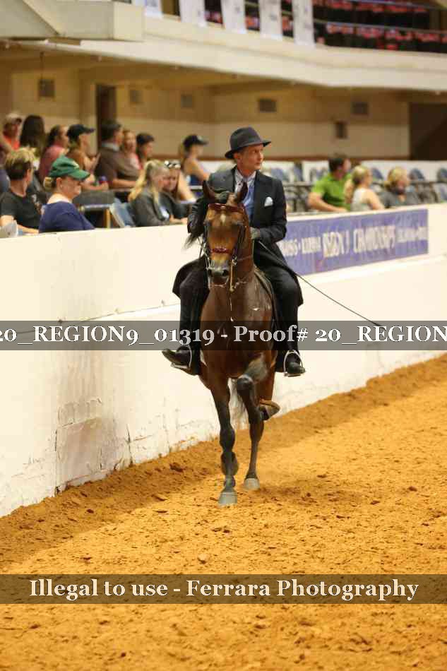 Proof 20_REGION9_01319