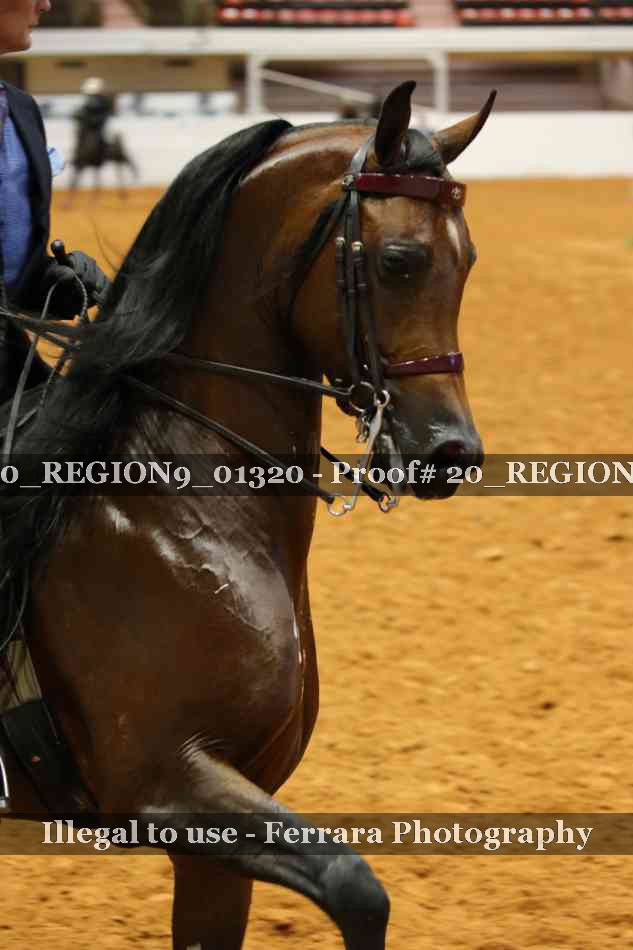Proof 20_REGION9_01320