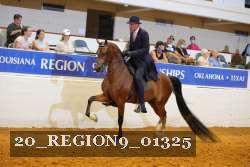 20_REGION9_01325 proof