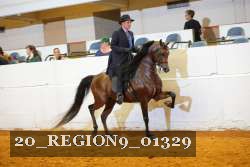 20_REGION9_01329 proof