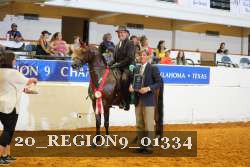 20_REGION9_01334 proof