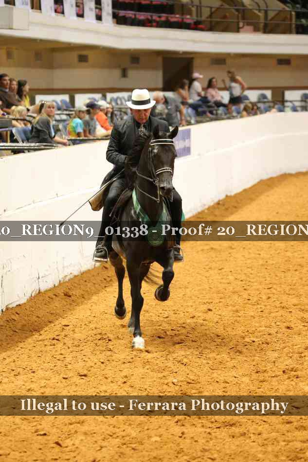 Proof 20_REGION9_01338
