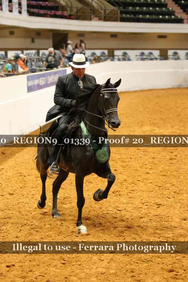 Proof 20_REGION9_01339