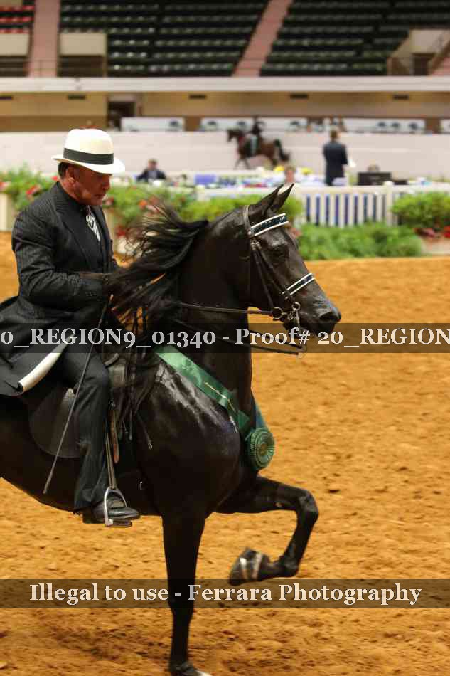 Proof 20_REGION9_01340
