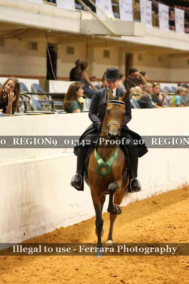 Proof 20_REGION9_01342