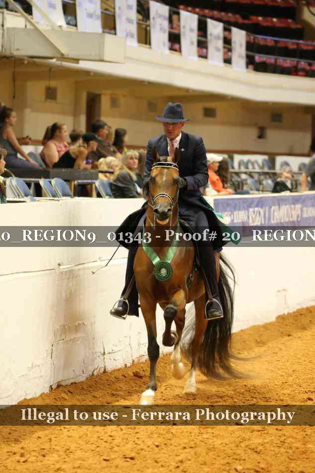 Proof 20_REGION9_01343