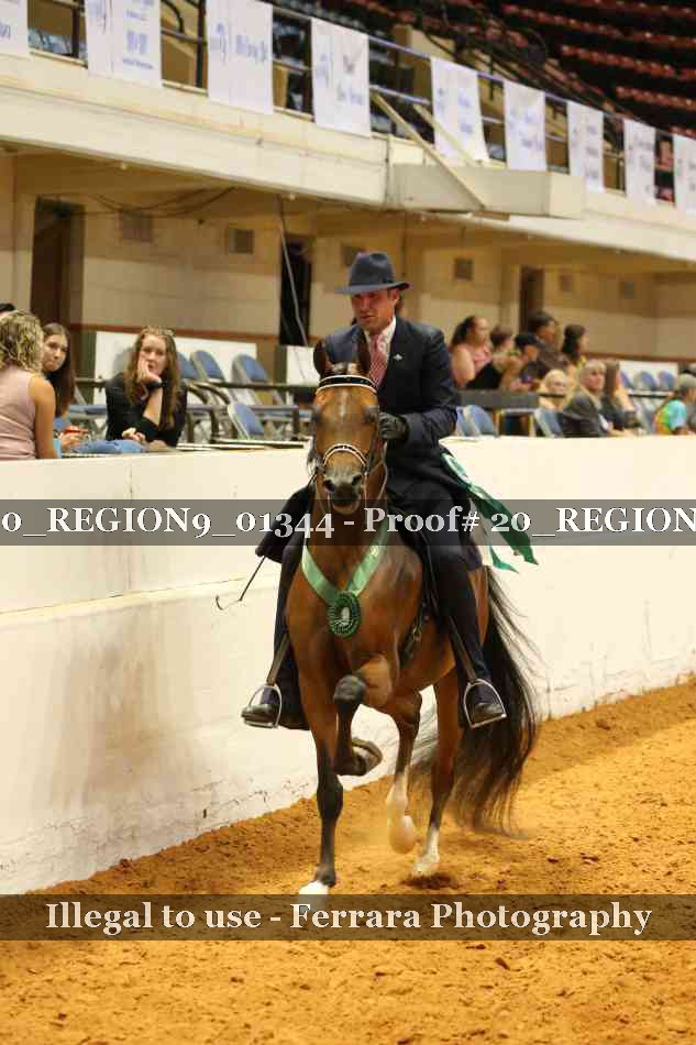 Proof 20_REGION9_01344