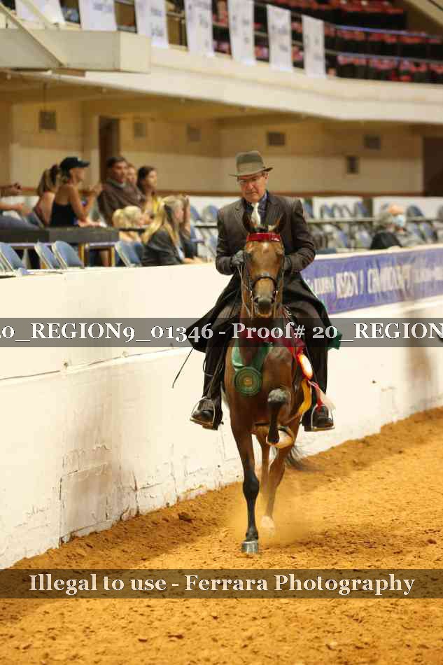 Proof 20_REGION9_01346