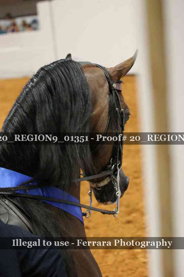 Proof 20_REGION9_01351