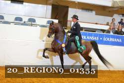 20_REGION9_01355 proof