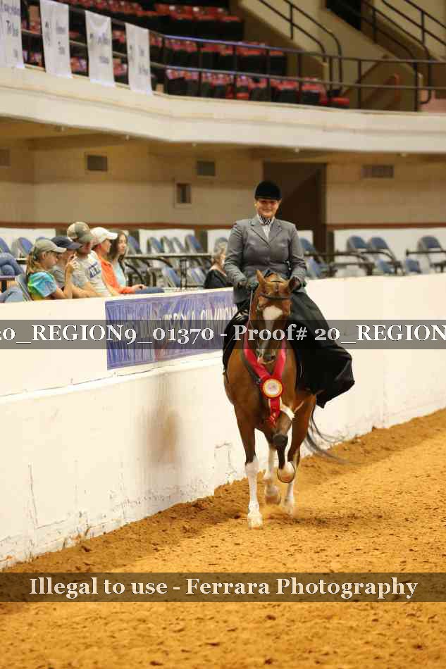 Proof 20_REGION9_01370