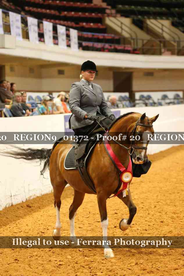 Proof 20_REGION9_01372