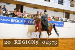 20_REGION9_01373 proof