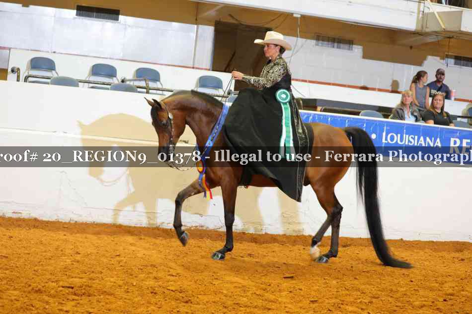 Proof 20_REGION9_01378