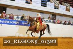 20_REGION9_01388 proof