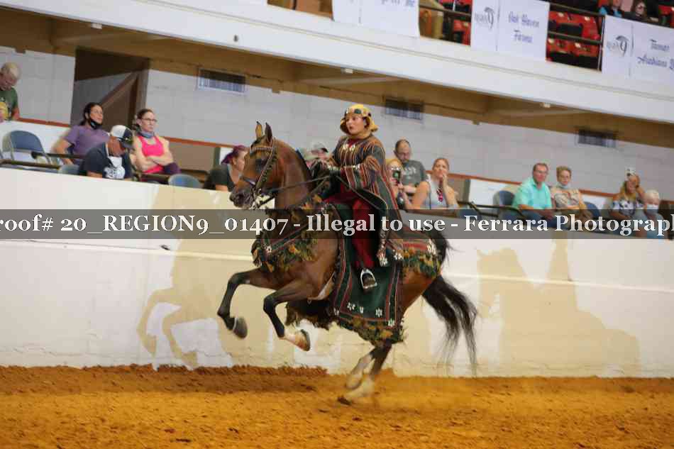 Proof 20_REGION9_01407