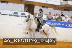 20_REGION9_01425 proof
