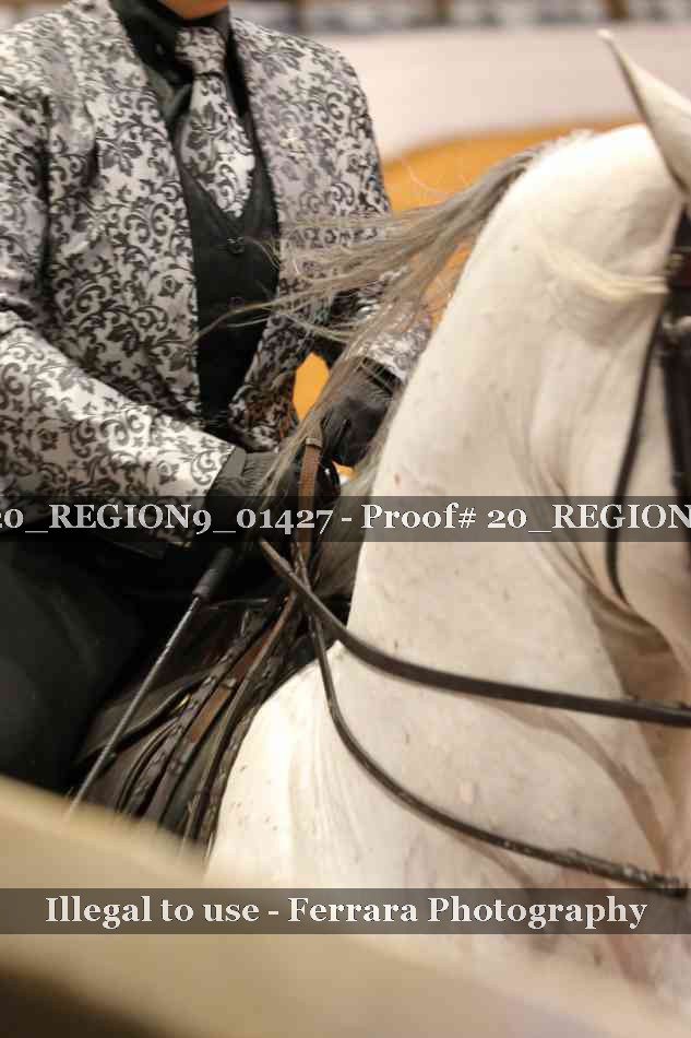 Proof 20_REGION9_01427