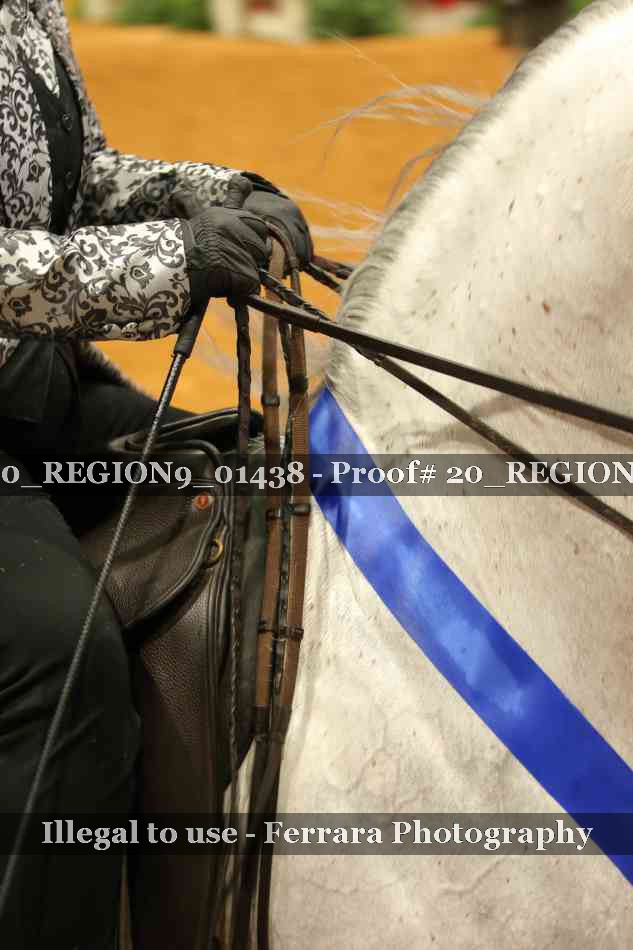 Proof 20_REGION9_01438