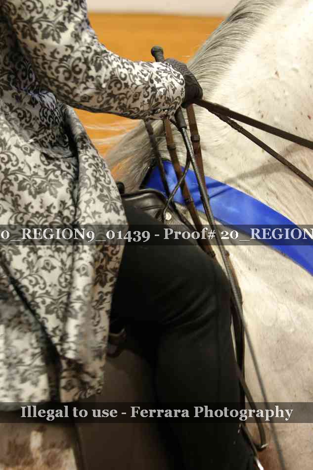 Proof 20_REGION9_01439