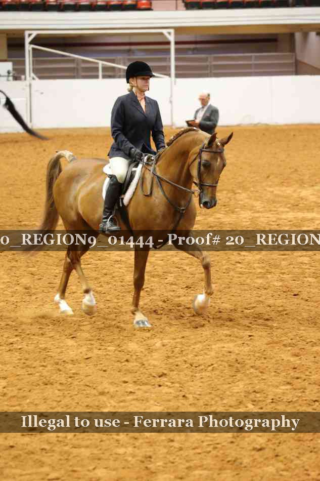 Proof 20_REGION9_01444