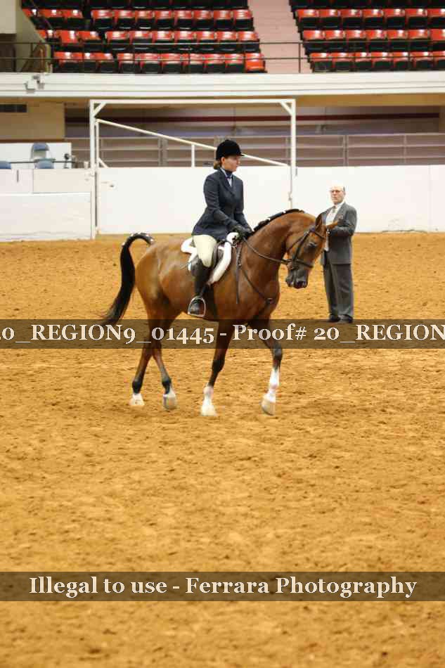 Proof 20_REGION9_01445
