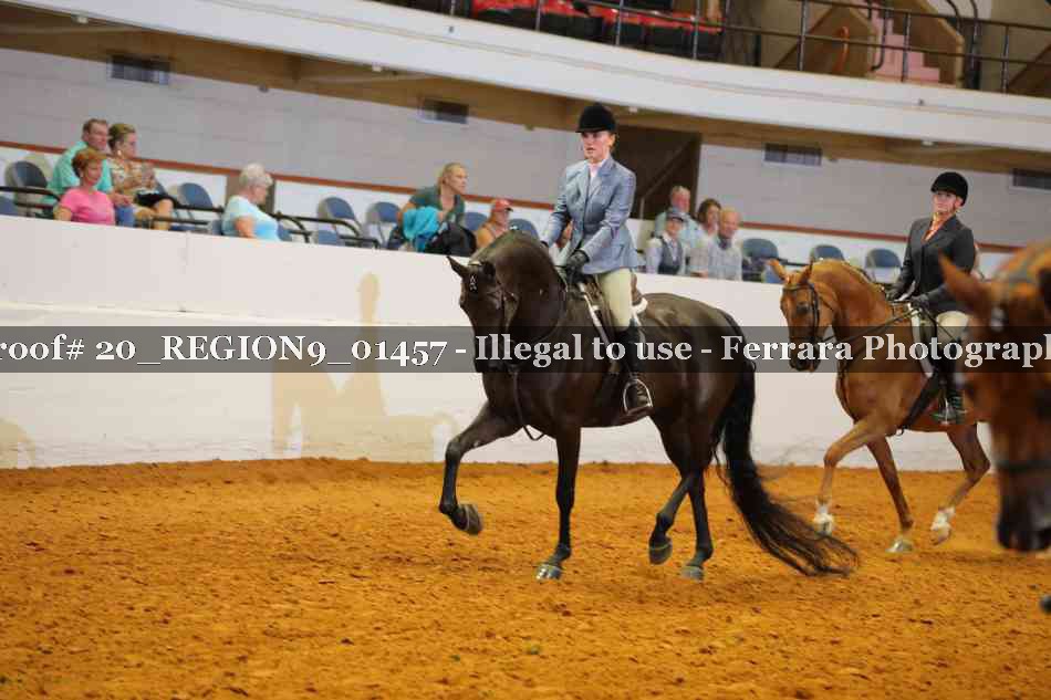 Proof 20_REGION9_01457