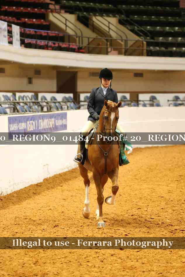 Proof 20_REGION9_01484