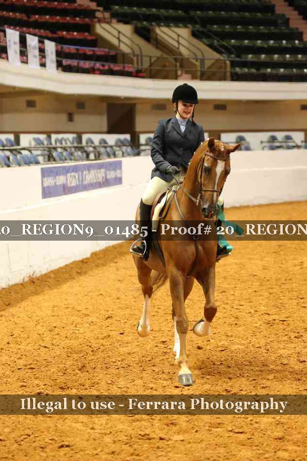 Proof 20_REGION9_01485