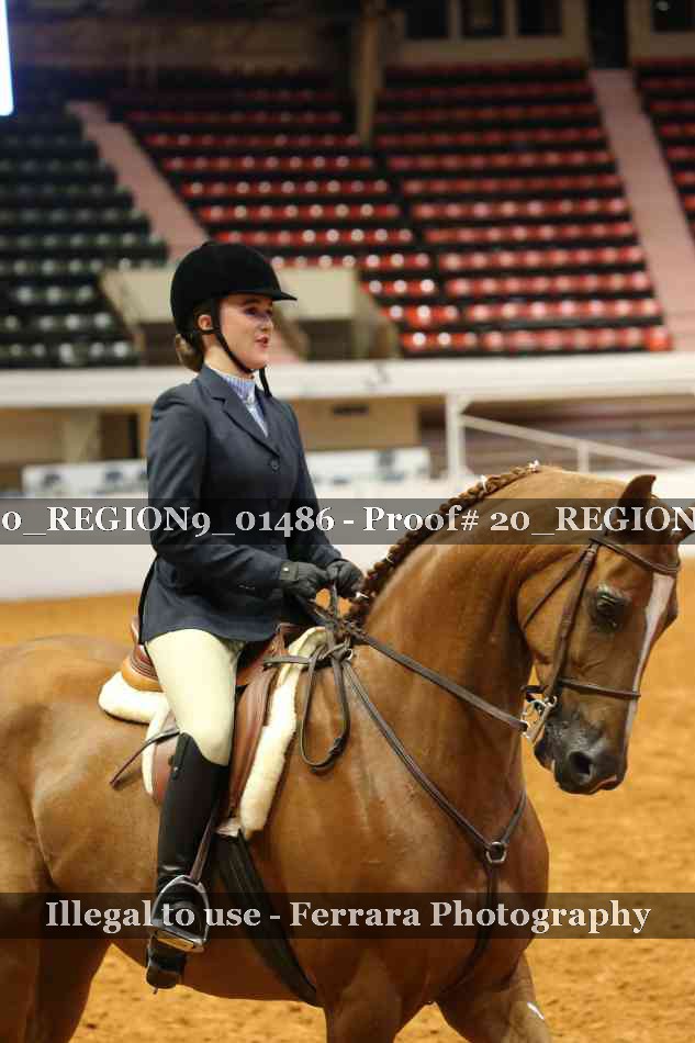 Proof 20_REGION9_01486