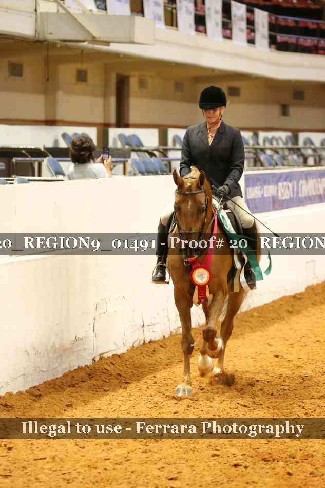 Proof 20_REGION9_01491