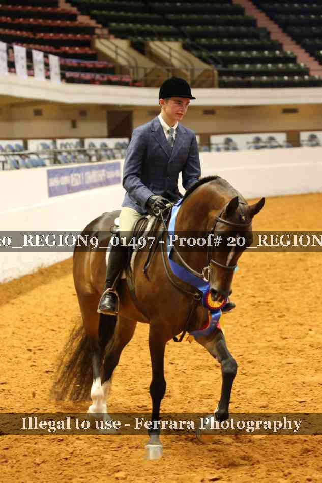 Proof 20_REGION9_01497