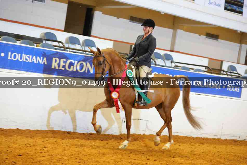 Proof 20_REGION9_01499