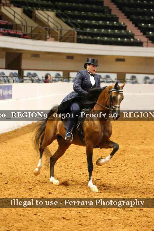 Proof 20_REGION9_01501