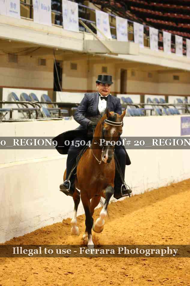 Proof 20_REGION9_01504