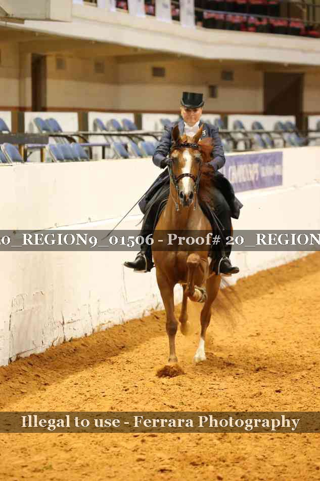 Proof 20_REGION9_01506