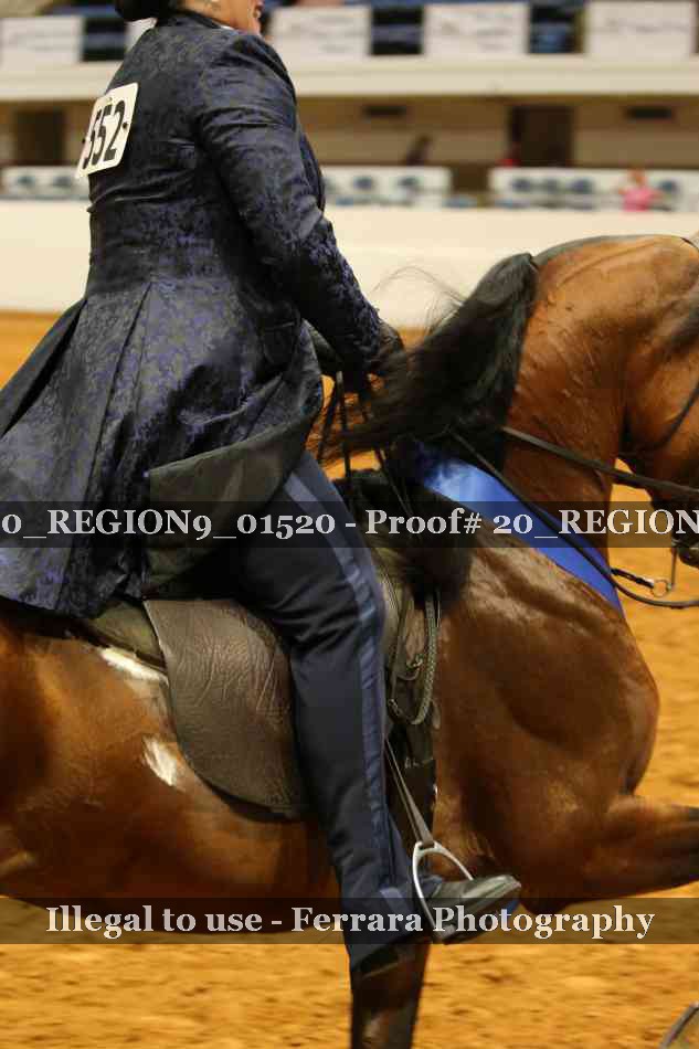 Proof 20_REGION9_01520