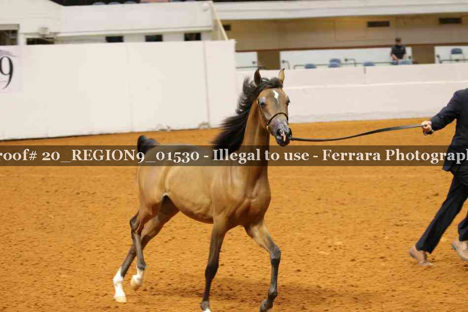 Proof 20_REGION9_01530