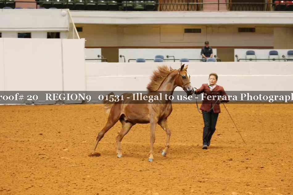 Proof 20_REGION9_01531