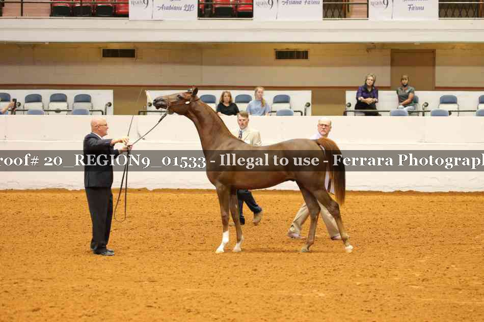 Proof 20_REGION9_01533