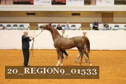20_REGION9_01533 proof