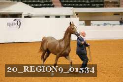 20_REGION9_01534 proof