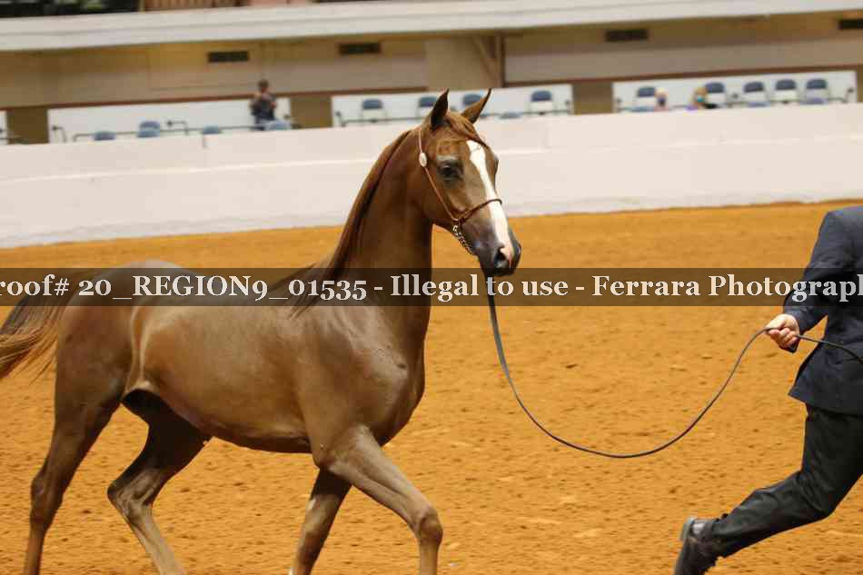 Proof 20_REGION9_01535