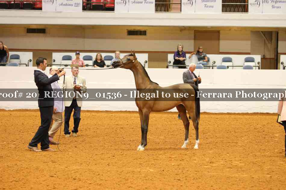 Proof 20_REGION9_01536