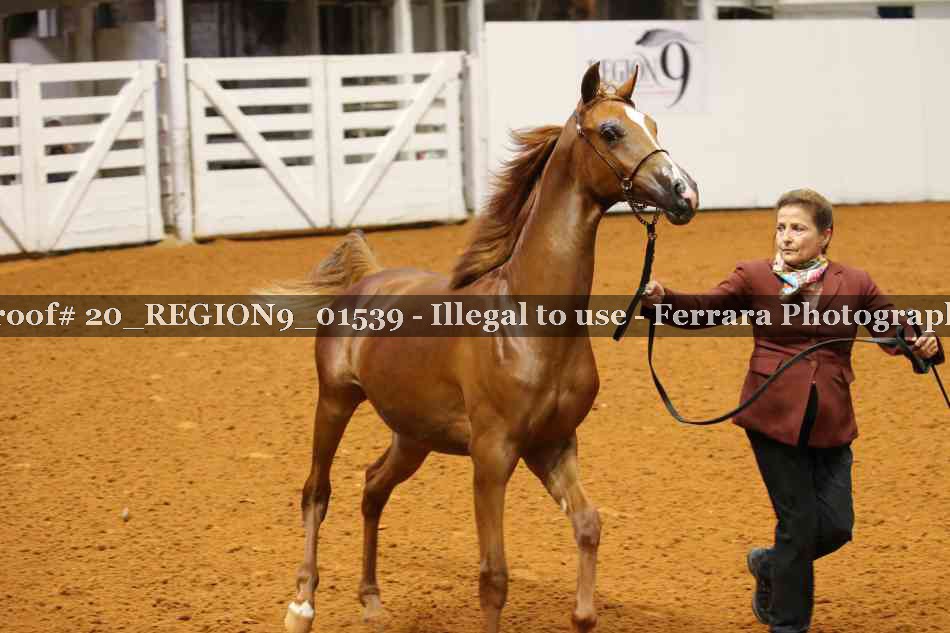 Proof 20_REGION9_01539