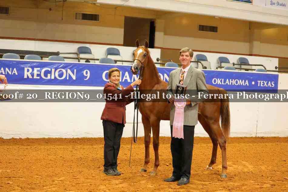 Proof 20_REGION9_01541