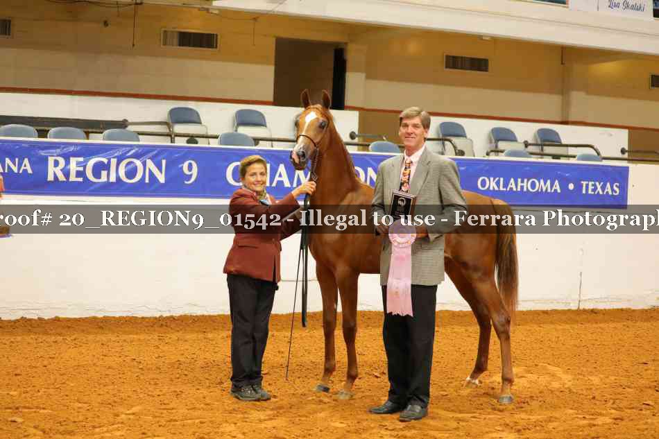 Proof 20_REGION9_01542